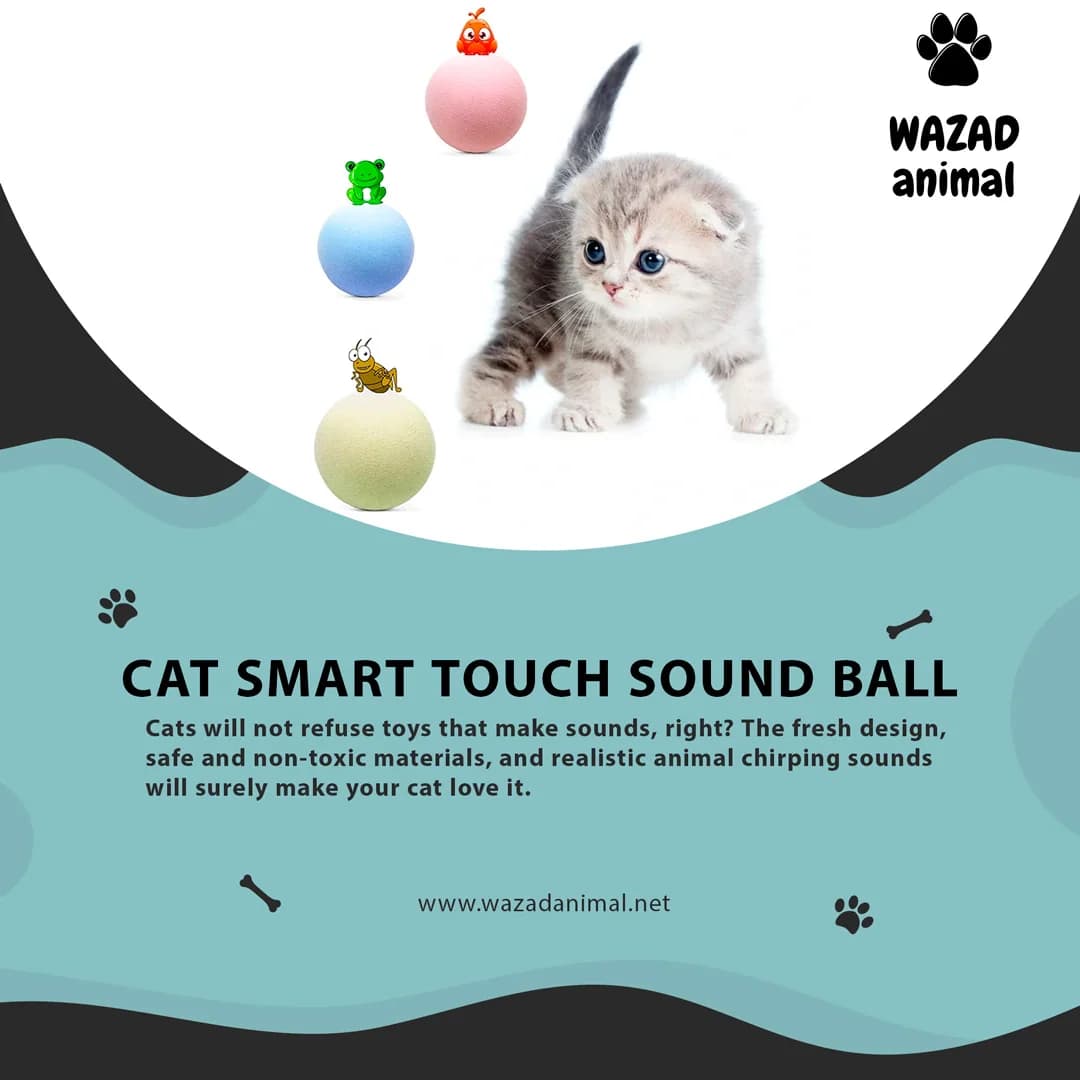 صورة من مشروع ROLmod — Wazad Animal